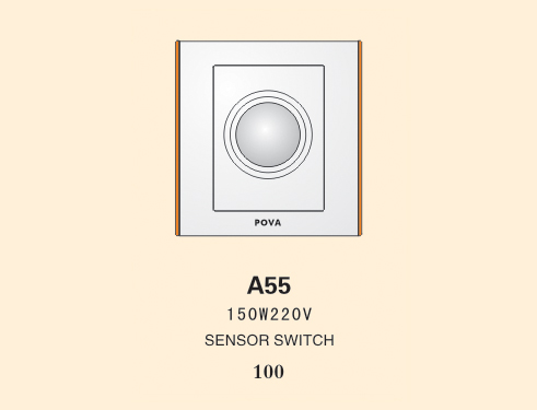 a55